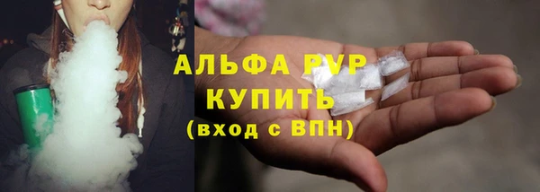 СК Алексин