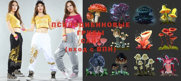 СК Алексин