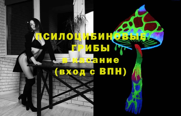 ECSTASY Алексеевка