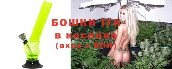 СК Алексин