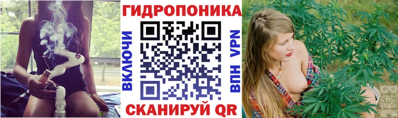 наркота Обоянь Марихуана OG Kush